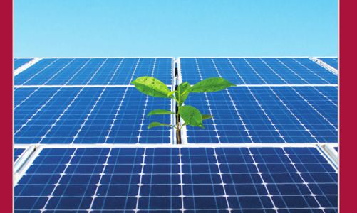 Vietnam Economic Times May 15, 2024