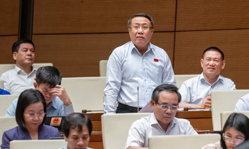 Đại biểu Quốc hội đề xuất gia hạn giảm thuế VAT sang năm 2025