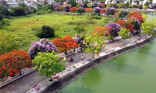 Sáp nhập huyện Đông Sơn vào thành phố Thanh Hóa đến giai đoạn 