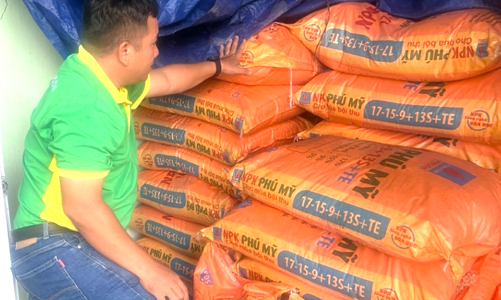 Phân bón Phú Mỹ: Bí quyết cho cây dưa và sầu riêng ở miền Trung - Tây Nguyên những mùa bội thu