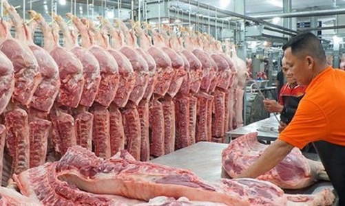  CPI tháng 5/2024 tăng do tác động từ giá thịt lợn, giá điện