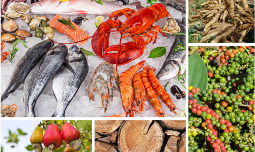 Xuất khẩu nông lâm thủy sản 5 tháng đầu năm 2024: Nhiều nhóm hàng chủ lực tăng trưởng cao