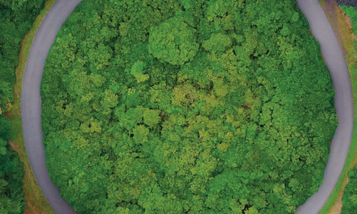 Doanh nghiệp Việt Nam vẫn gặp khó trong triển khai các chiến lược ESG