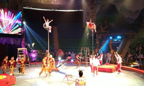 Đề xuất viên chức ngành nghệ thuật biểu diễn là nghề nặng nhọc để được nghỉ hưu sớm 