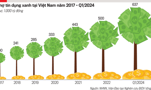 Khơi thông dòng vốn xanh, thúc đẩy chuyển đổi xanh