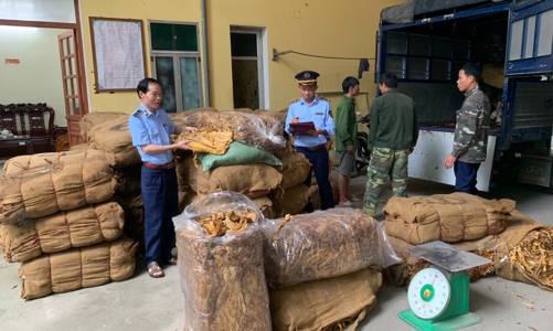 Tạm giữ 14,5 tấn nguyên liệu thuốc lá không rõ nguồn gốc xuất xứ