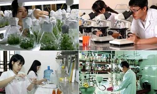 Bất cập xử lý tài sản hình thành từ nhiệm vụ khoa học công nghệ sử dụng ngân sách