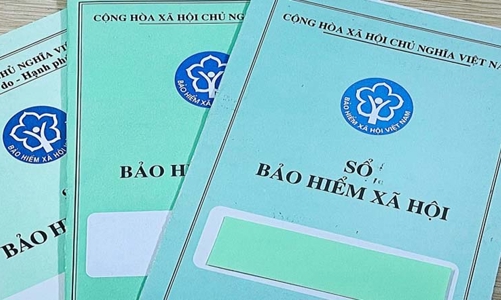Từ năm 2026, chỉ cấp sổ bảo hiểm bản giấy khi người lao động yêu cầu