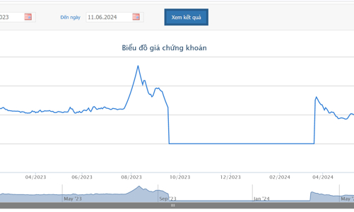 Lỗ luỹ kế hơn 175 tỷ, AGM sắp bán tài sản lấy tiền trả trái phiếu