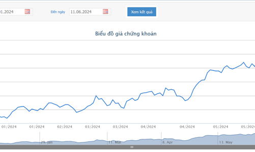 Quý 1 lãi hơn 900 tỷ, MWG sắp chi 730 tỷ trả cổ tức năm 2023