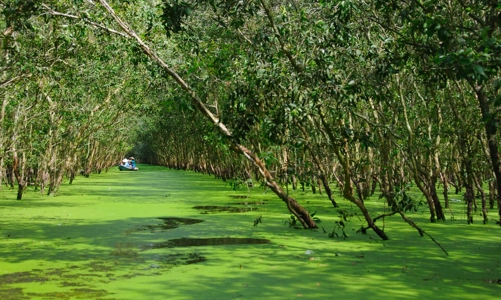 Cần hoàn thiện khung pháp lý cho thị trường tín chỉ carbon