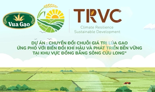 Hành trình hướng tới sản xuất lúa bền vững và giảm phát thải 