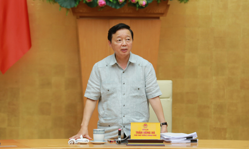 Phải có chính sách đột phá để người nông dân giữ được và sống được từ đất lúa