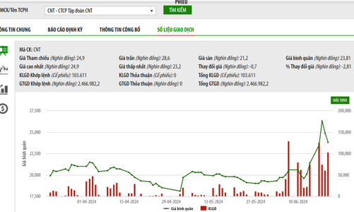 Tập đoàn CNT mất dữ liệu kế toán trong gần một năm, không thể khôi phục
