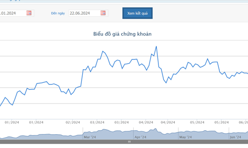 Thị trường sôi động, 5 tháng đầu năm 2024 doanh thu vàng 24K của PNJ tăng 90,9% so với cùng kỳ