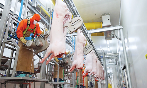 Phải xử lý triệt để, xóa bỏ lò giết mổ thủ công