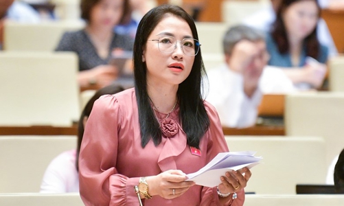 Đại biểu Quốc hội đề nghị bổ sung truy cứu trách nhiệm hình sự hành vi mua bán thai nhi