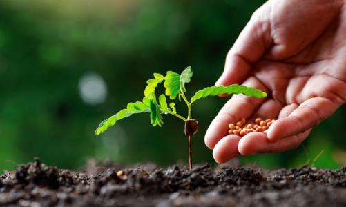 Đánh thuế VAT mặt hàng phân bón làm 