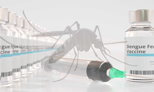 Sốt xuất huyết đã trở thành gánh nặng toàn cầu