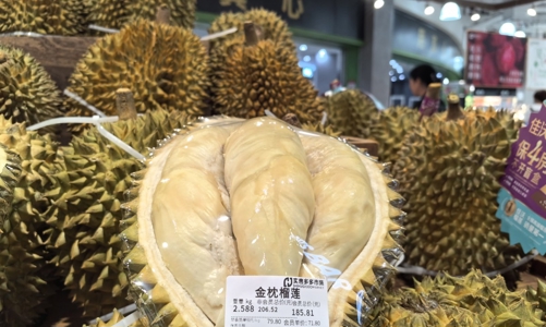 Nguyên nhân Trung Quốc ngừng nhập sầu riêng từ một số vùng trồng Việt Nam