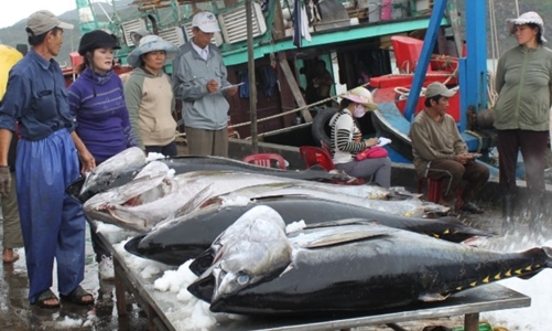 Xuất khẩu thủy sản 6 tháng đạt 4,4 tỷ USD, tăng 7%