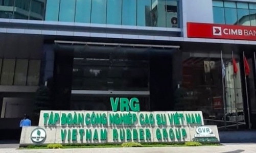 Vụ án Tập đoàn Cao su Việt Nam: Dừng giao dịch bất động sản của 11 cá nhân liên quan