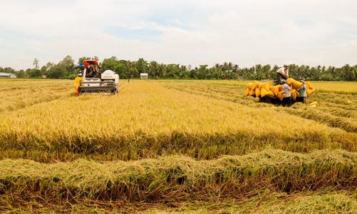 Nâng mục tiêu xuất khẩu nông lâm thủy  sản năm 2024 lên 57 - 58 tỷ USD