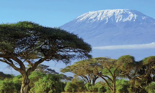 Kinh tế Châu Phi năm 2023 và triển vọng 2024