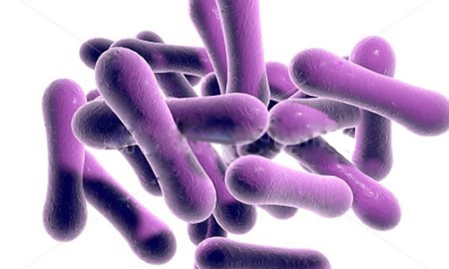 Giám sát, phát hiện sớm trường hợp nghi mắc bệnh bạch hầu tại cộng đồng