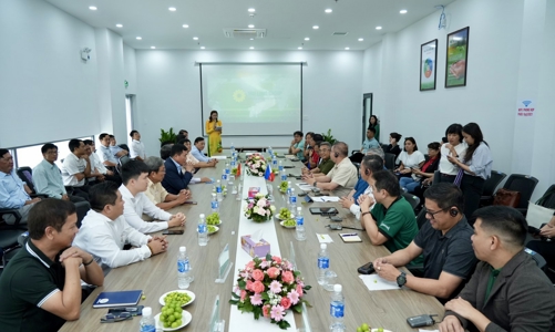 Bộ trưởng Bộ Nông nghiệp Philipines ấn tượng với quy mô Nhà máy gạo Hạnh Phúc 