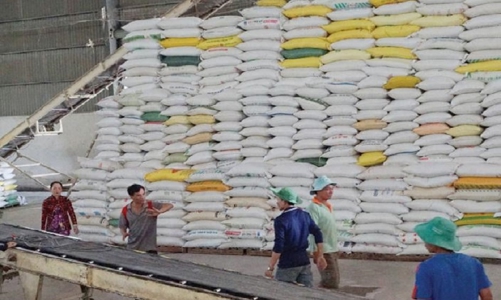 Xuất khẩu gạo của Việt Nam có nguy cơ gặp bất lợi tại Indonesia