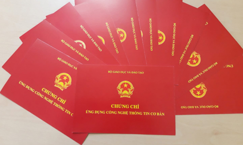 Giám đốc công ty giáo dục cấp chứng chỉ tin học giả mạo