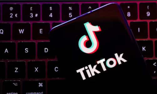 TikTok đang vẽ lại bức tranh thương mại điện tử tại thị trường Đông Nam Á