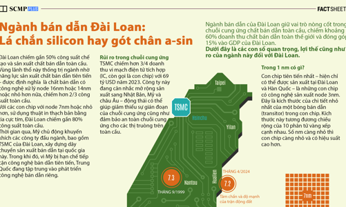 Ngành bán dẫn Đài Loan: Lá chắn silicon hay gót A-sin?
