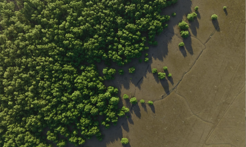 Việt Nam hấp dẫn các nhà đầu tư nước ngoài vào ESG