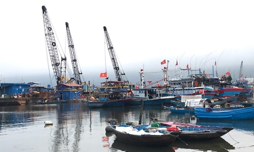 Âu thuyền cảng cá Thọ Quang được quy hoạch là 1 trong 5 trung tâm nghề cá lớn của cả nước