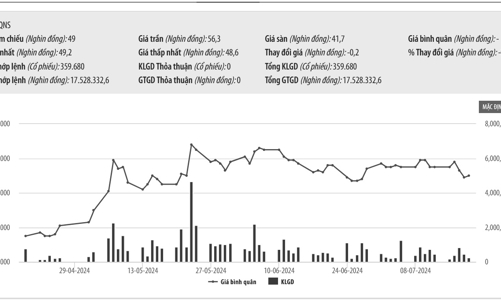 Vừa nhận cổ phiếu ESOP, Tổng giám đốc QNS 