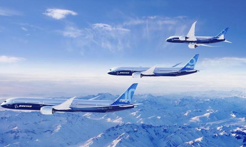 Việt Nam có đủ tiềm năng để phát triển nhiên liệu hàng không bền vững