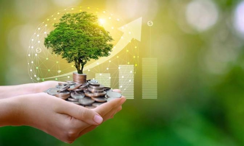 Green credit growth reaches 22% annually