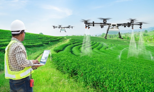 Cần những doanh nghiệp “đầu tàu” dẫn dắt nông nghiệp thông minh