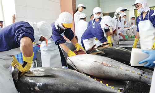 Thị trường Mỹ và Nhật khởi sắc, cổ phiếu nhóm thủy sản hưởng lợi vào cuối năm