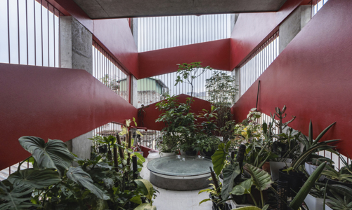 Giải pháp nào để “xanh hóa” nhà phố diện tích nhỏ?