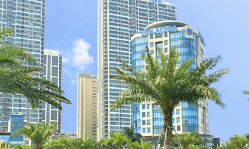 Viglacera đang sở hữu hàng chục dự án bất động sản