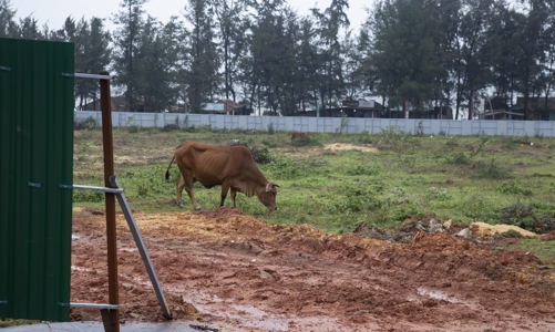 Quảng Bình chấm dứt hàng loạt dự án chậm tiến độ