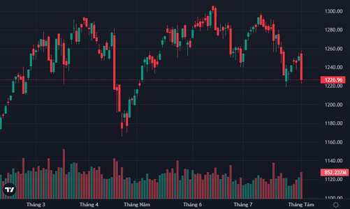 Sợ hãi dâng cao, cổ phiếu sàn la liệt, VN-Index giảm mạnh nhất 30 phiên