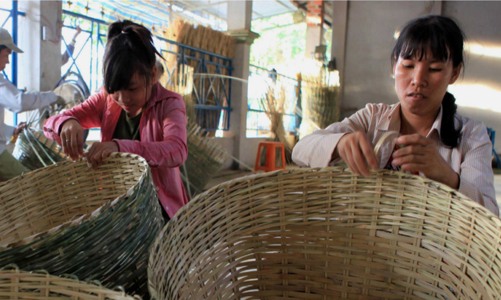 Hải Phòng: Cơ sở sản xuất kinh doanh sản phẩm OCOP được vay ưu đãi tối đa 2 tỷ đồng/dự án