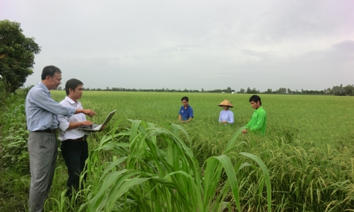 Australia hỗ trợ ứng dụng trí tuệ nhân tạo vào canh tác nông nghiệp tại Việt Nam