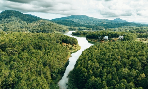 “Xanh” hơn cùng tín chỉ carbon