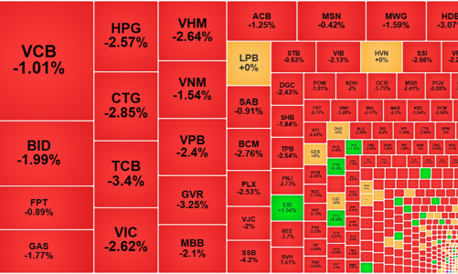 Dòng tiền mất hút, sắc đỏ lan tràn, VN-Index kiểm định lại mốc 1200 điểm