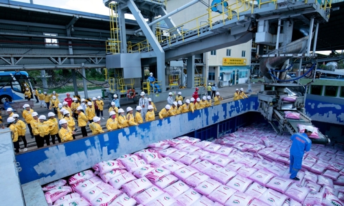 Phân bón Cà Mau thắng lớn 6 tháng đầu năm